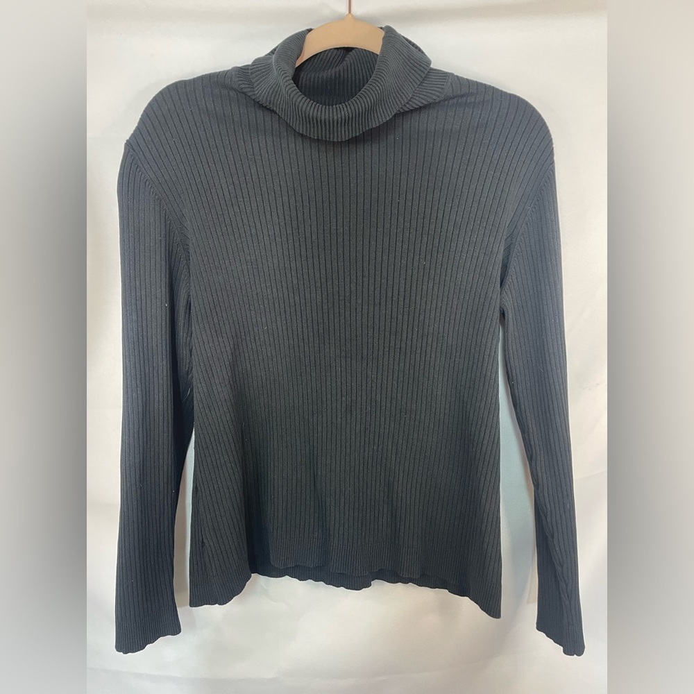 Silk blend ribbed turtleneck in black. Very goth or chic, you choose! By Chicos.